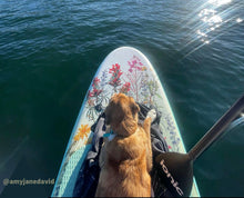 Load image into Gallery viewer, Ionic Yoga - Green Lotus - 10’6 Inflatable Paddle Board Package - Boards